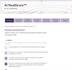 RSG RealScore Effectiveness Model
